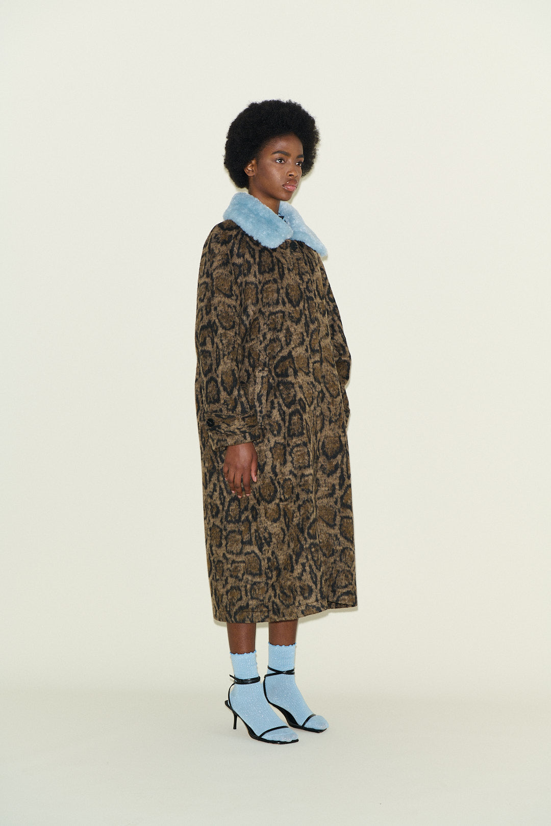 Carrington Leopard  and Blue