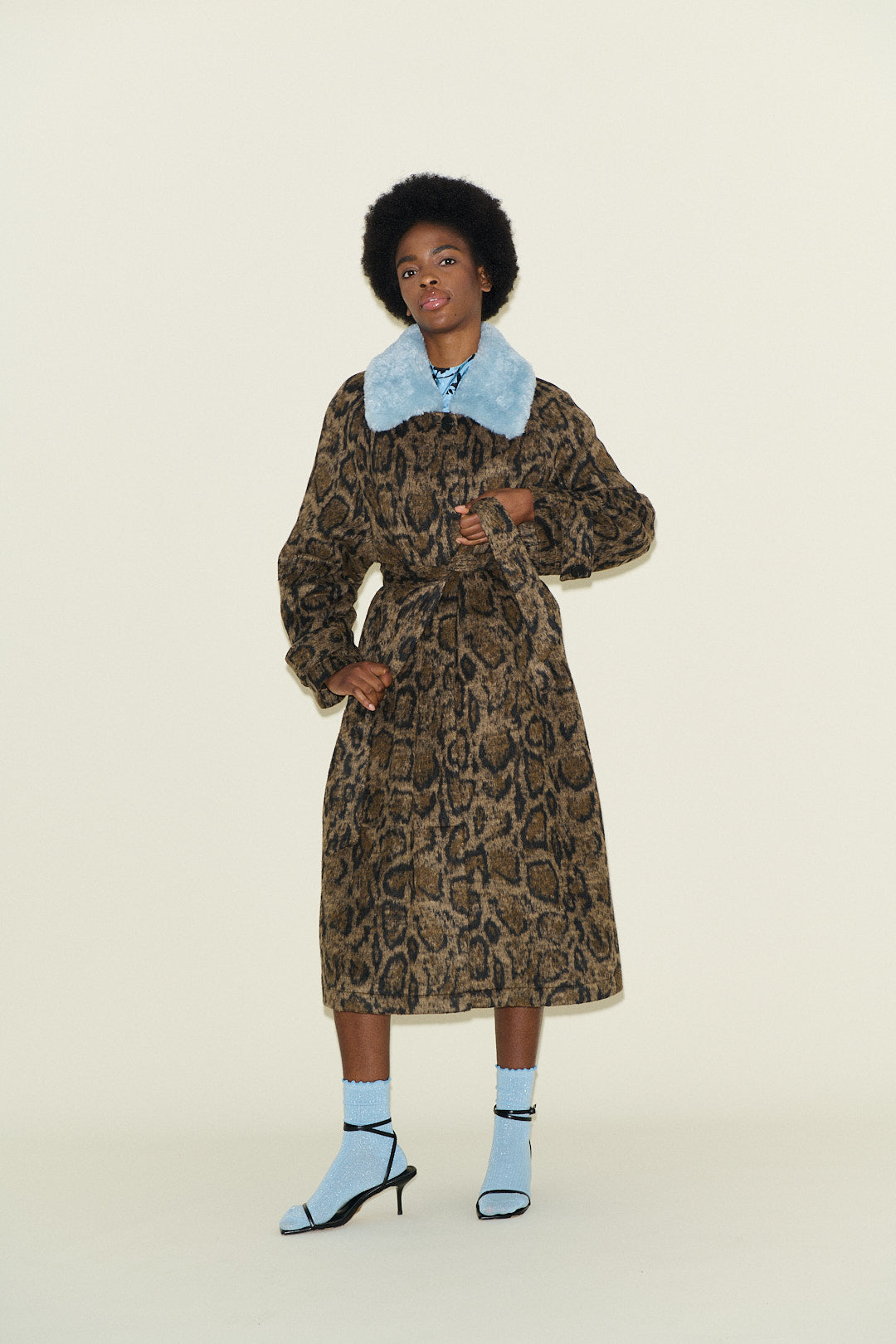 Carrington Leopard  and Blue