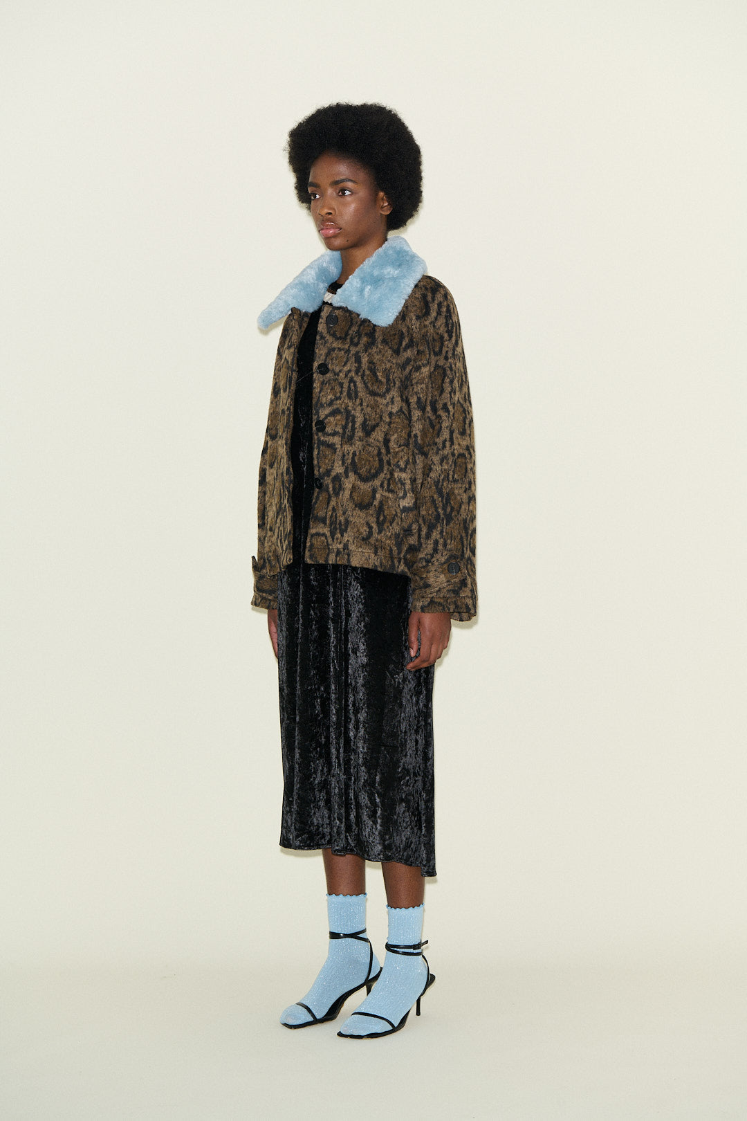 Jameson Leopard  and Powder Blue