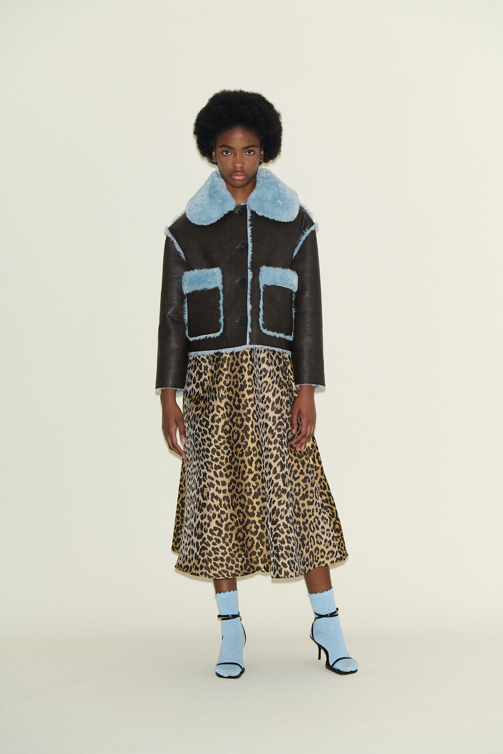 Johanna Chocolate and Powder Blue