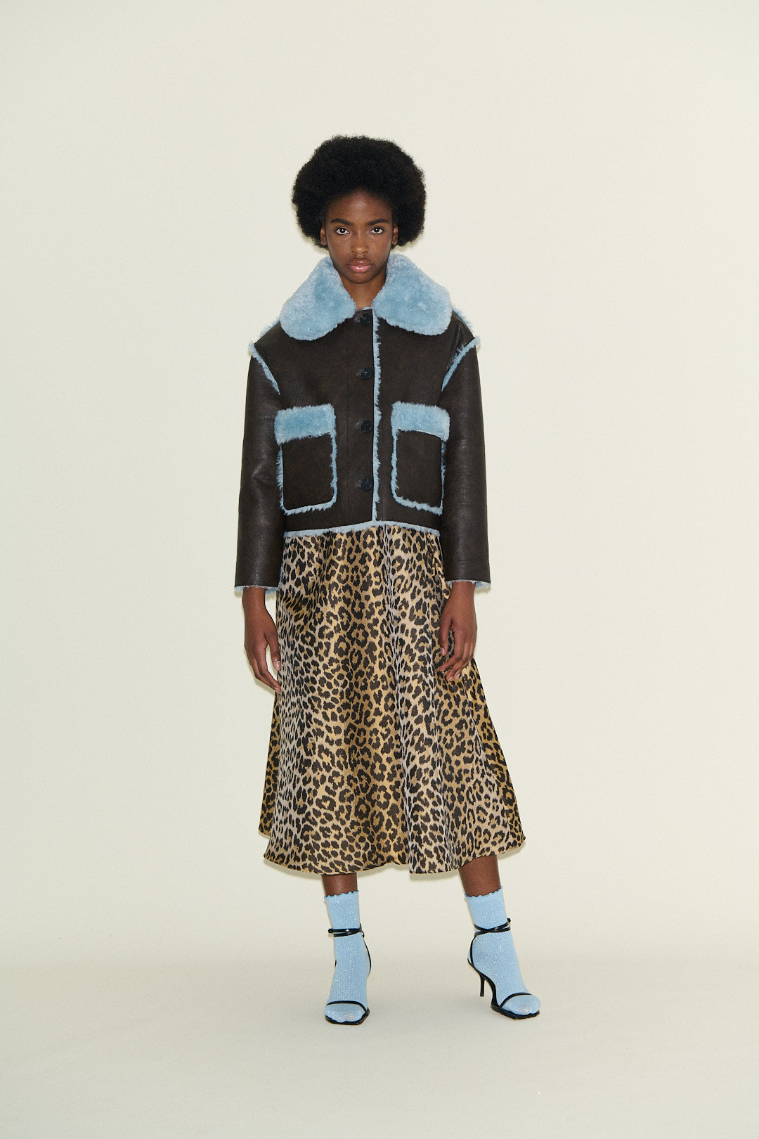 Johanna Chocolate and Powder Blue