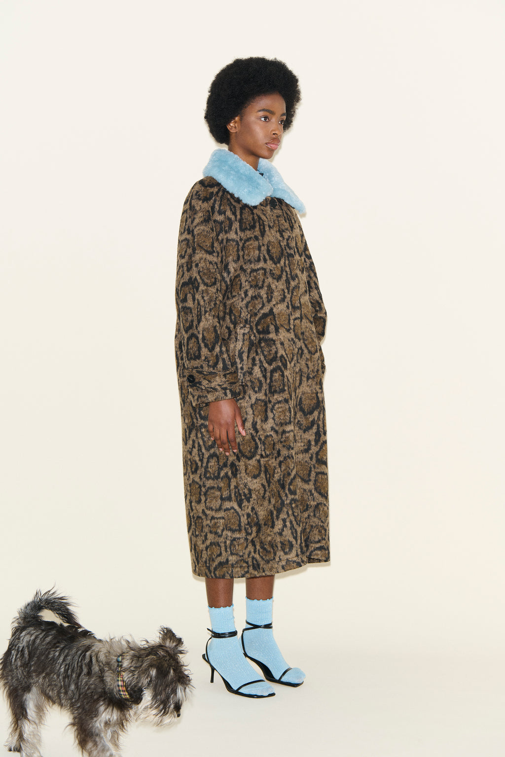 CARRINGTON Leopard and Powder Blue