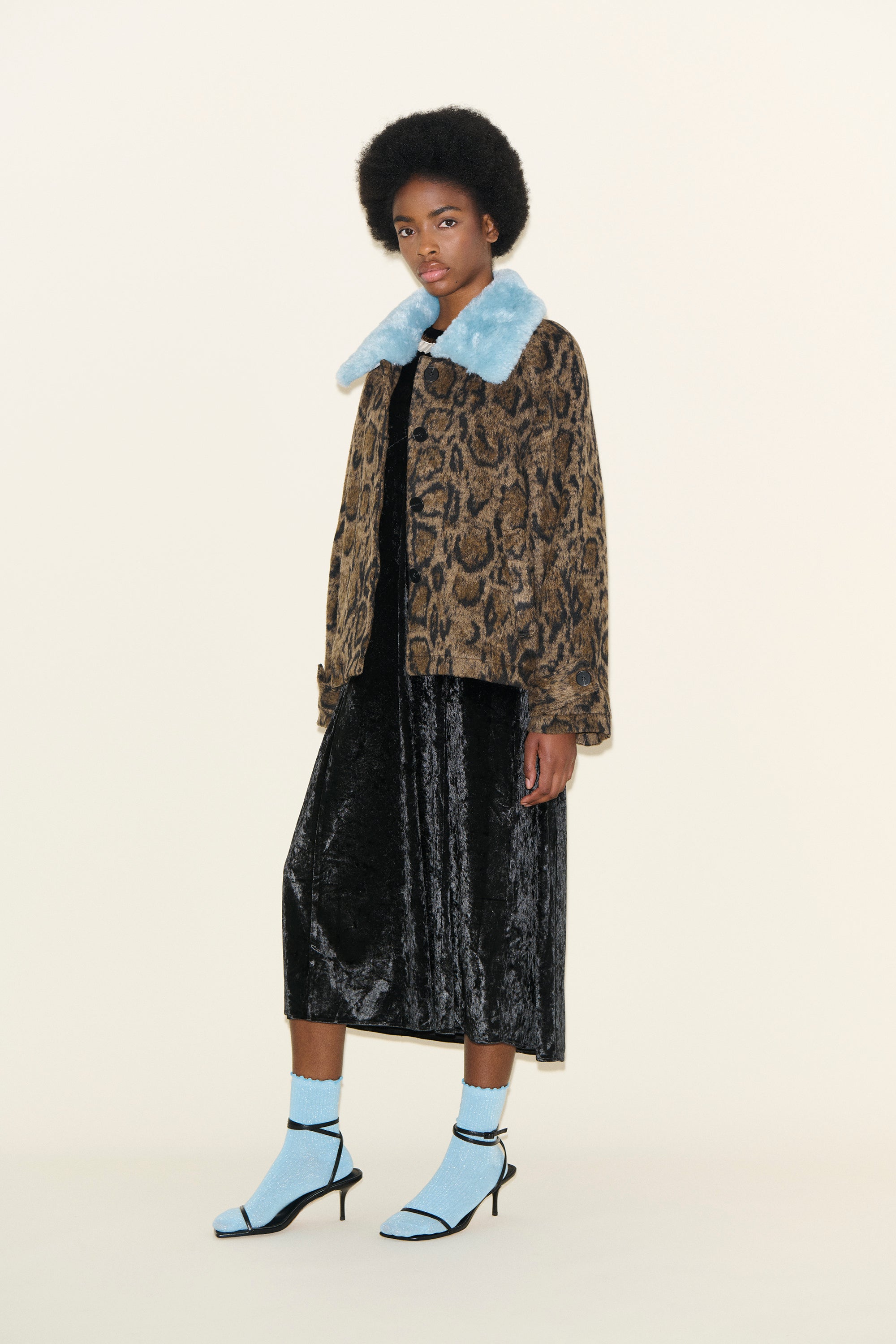 JAMESON  Leopard and Powder Blue